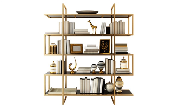 歐式創意個性不鏽鋼（gāng）書架金屬_不鏽鋼書架書櫃廠家定製（zhì）