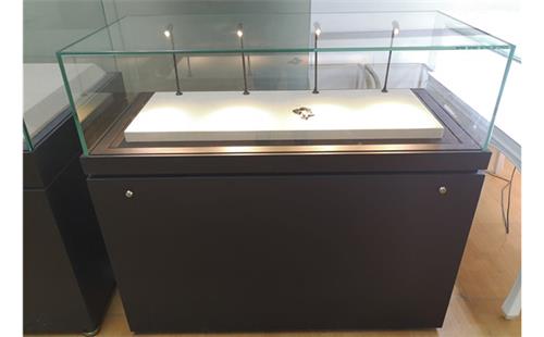 珠寶展示櫃