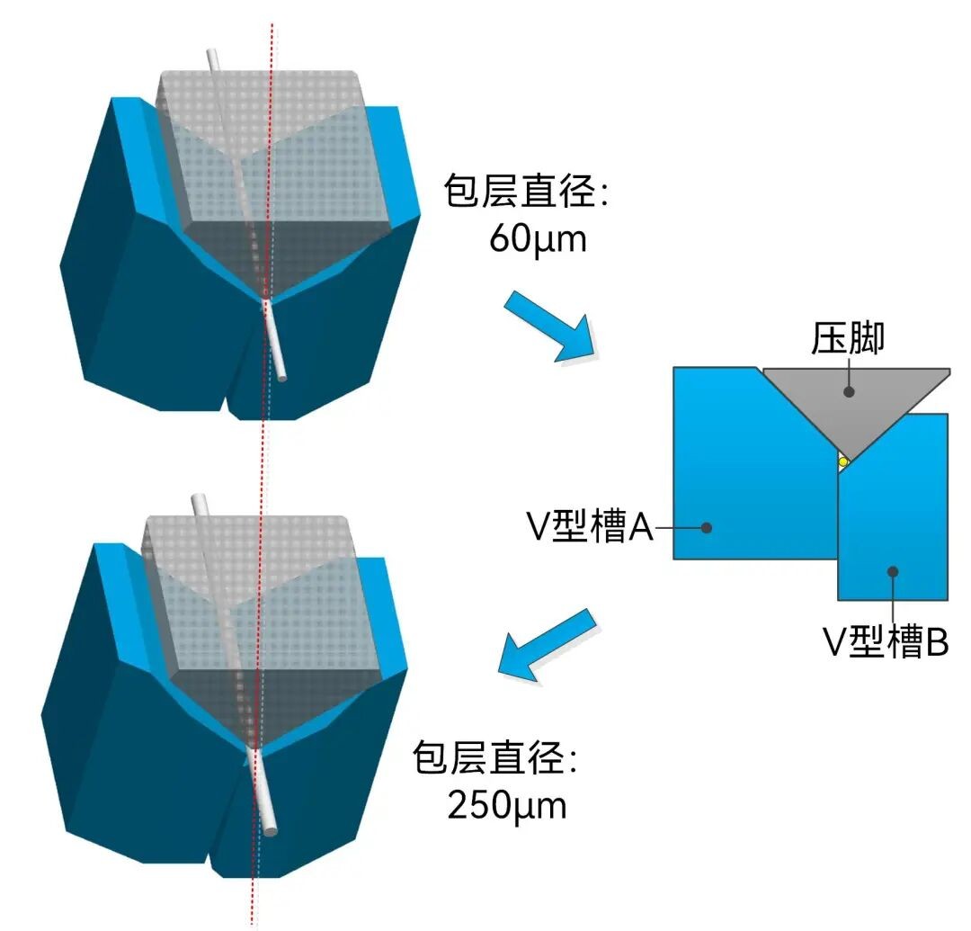 1762571456438745.jpg 3.jpg